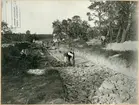 Omläggning av väg mellan Kärråkra och Röinge invid Hässleholm i Skåne 1917.