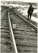 Räl efter urspårning av tåg 93, Nordpilen, på sträckan mellan Simeå och Undersvik 1956-03-27.