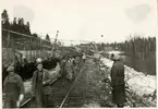 Tåg 93, 'Nordpilen', urspårat i Granbo 1956-03-29.