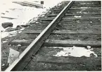 Del av bangården efter olyckan 1956-03-29 då tåg 93, 'Nordpilen, spårade ur vid Granbo station.