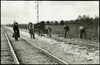 Makadamisering på sträckan mellan Tjörnarp och Sösdala.