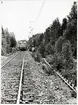 Stödkätting som ramlat av godsvagn vid Storsjöbaden mellan Skallgårdsund och Sandarne i Söderhamn september 1980.