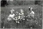 Lillermor, Per-Anders och Astrid på en blomsteräng i Lund, Valbo.