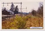 Vy vid Majenfors. Hållplats anlagd 1890. Envånings stationsbyggnad i trä