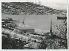 Narvik hamn