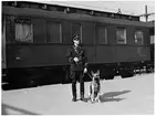 Svensk järnvägspolis med schäferhund framför ett tyskt militärtåg på väg mot Norge under andra världskriget. Här på Östersunds centralstation. Vagnen bakom hundföraren är en tysk C3itr, traglastenwagnen, från 1910-talet. TT.