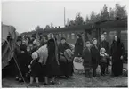 Finska flyktingar i Haparanda, hösten 1944.