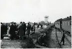 Finska flyktingar i Haparanda, hösten 1944.