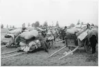 Finska flyktingar i Haparanda, hösten 1944. Kärror med resgods.