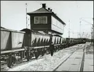 Malmtåg vid ställverket på Grängesbergs malmbangård 1964.