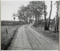 Järnvägsövergång vid Hemmeslöv Södra på linjen mellan Skottorp och Båstad.