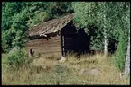 Gammal lada i närheten av Träskaten, Strängnäs kommun.