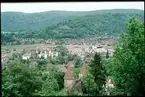 Utsikt från gamla staden i Sighisoara, Rumänien.