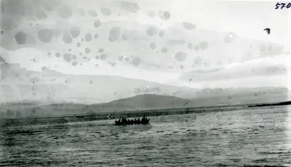 Timannafar (kapproingsbåt) Olsokhøgtid