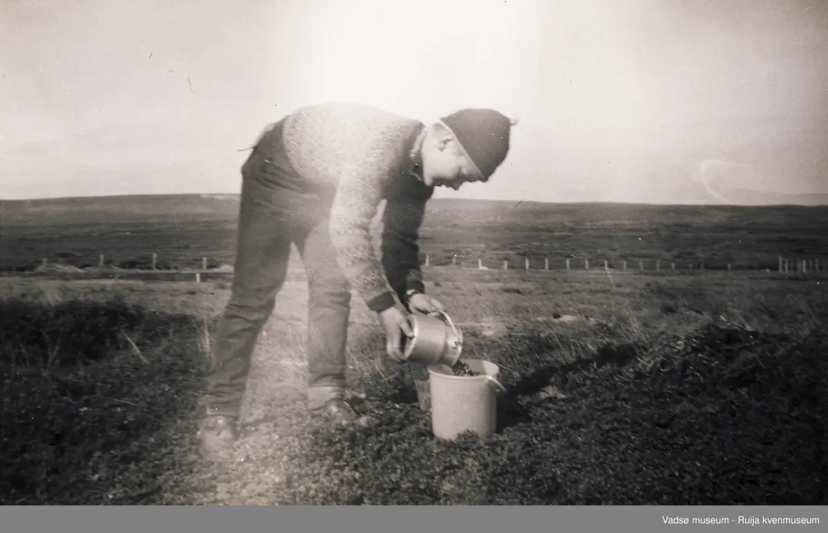 Trygve Johansen på tyttebærtur på Østmoen i Skallelv 1950-tallet.