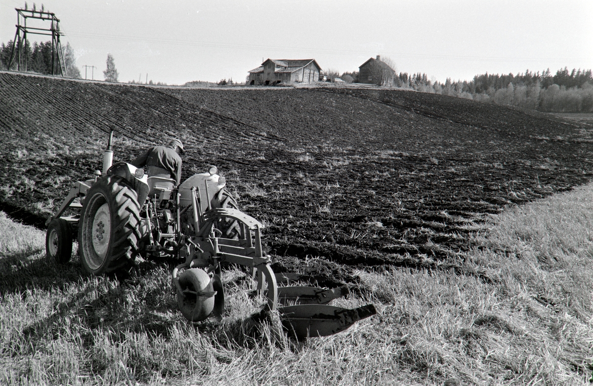 Ophus gård, Vang H. Gnr.188. Våronn, pløying, traktor,