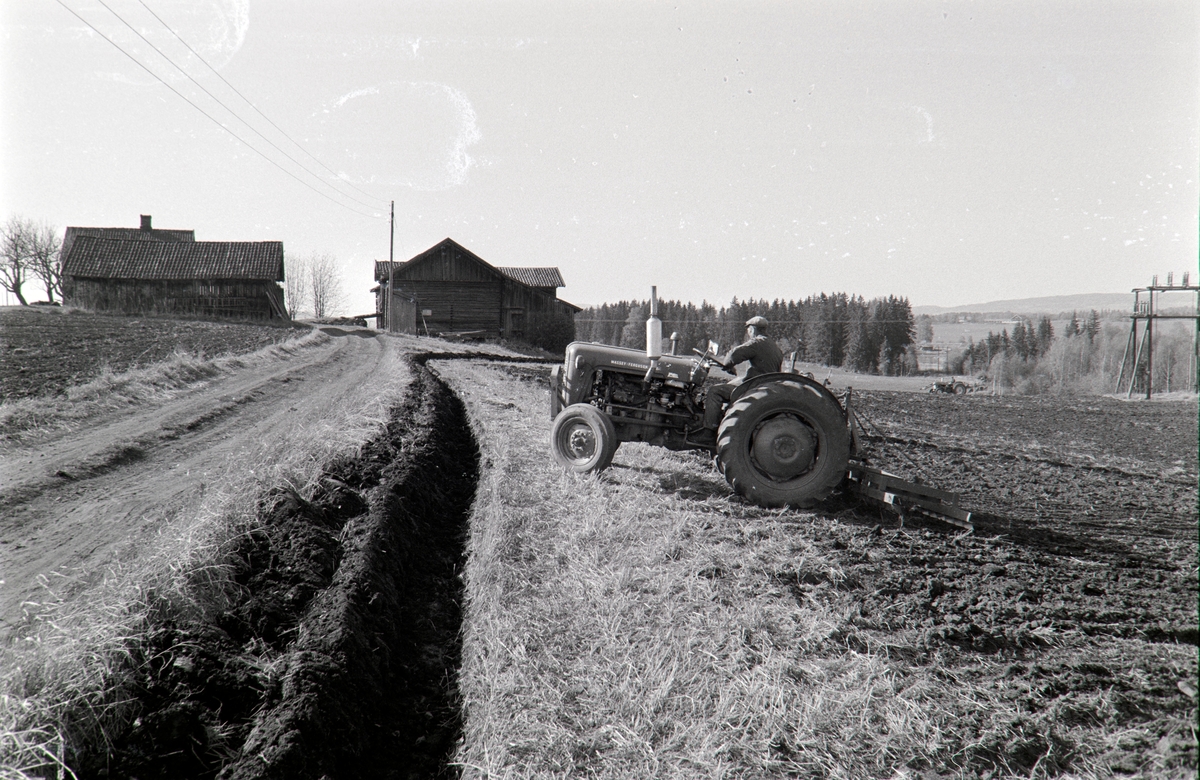 Ophus gård, Vang H. Gnr.188. Våronn, pløying, traktor,