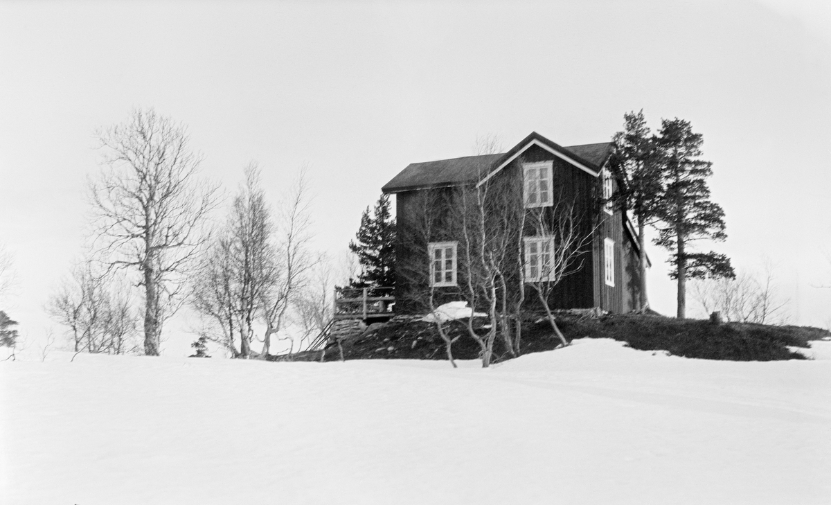 Majavasstua, et lite, halvannenetasjes våningshus bygd på en bakkekam.  Bygningen var panelt og malt, antakelig i en mørk rødfarge, med kvite vindskier og vindusomramminger. Huset hadde et lite vinklet utbygg, eller i hvert fall en ark, på den langveggen som vendte mot fotografen.  På motsatt side ser det ut til å ha vært et påbygg med pulttak. Omkring huset vokste det furutrær og bjørker.  Bakken nedenfor var snødekt. 

Fotografiet skal være tatt i 1918.  Dette året innledet selskapet som drev Nesbruket - med sagbruk i Mosjøen og store utmarkseiendommer i Vefsen og Grane kommuner, forhandlinger om salg til staten.  Det tok to år før man kom fram til en pris som Stortinget aksepterte.  Som en del av evalueringsarbeidet som lå til grunn for stortingsvedtaket ble det også fortatt befaringer og gjort verdivurderinger.  Om Majavasstua heter det i en slik rapport at den lå på en odde i nordenden av Majavatnet.  Den var i hovedsak en laftekonstruksjon med to rom i hver etasje.  Kjøkken og soverom for tjenere var plassert i et tilbygg av bordkledd bindingsverk,  Ikke alle rom hadde vedovn, noe som vel kan tyde på at stedet ble mest brukt i forbindelse med jakt- og fiskeaktiviteter i sommerhalvåret.