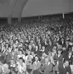 Rockgala i Folkets park.
8 september 1958.