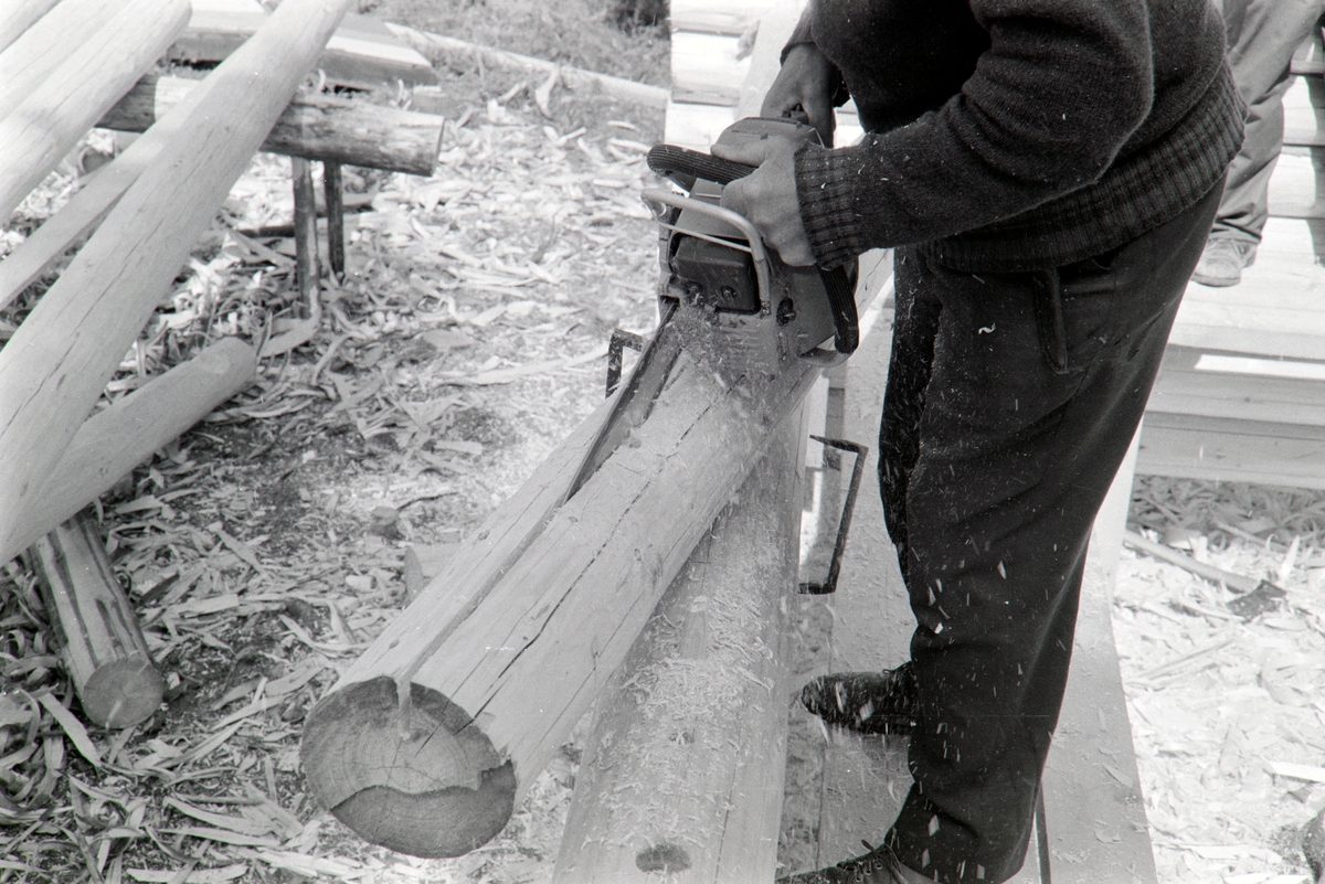 Lafting av skogskoie i A. Brettens skog i Romedal, Stange. Skogseier og byggherre Arne Bretten bruker motorsag.