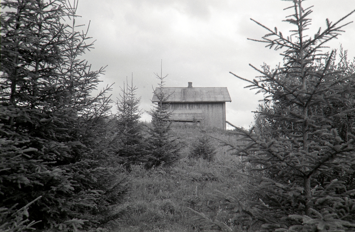 Løvberget, Oppigarden, Grue, Finnskog.