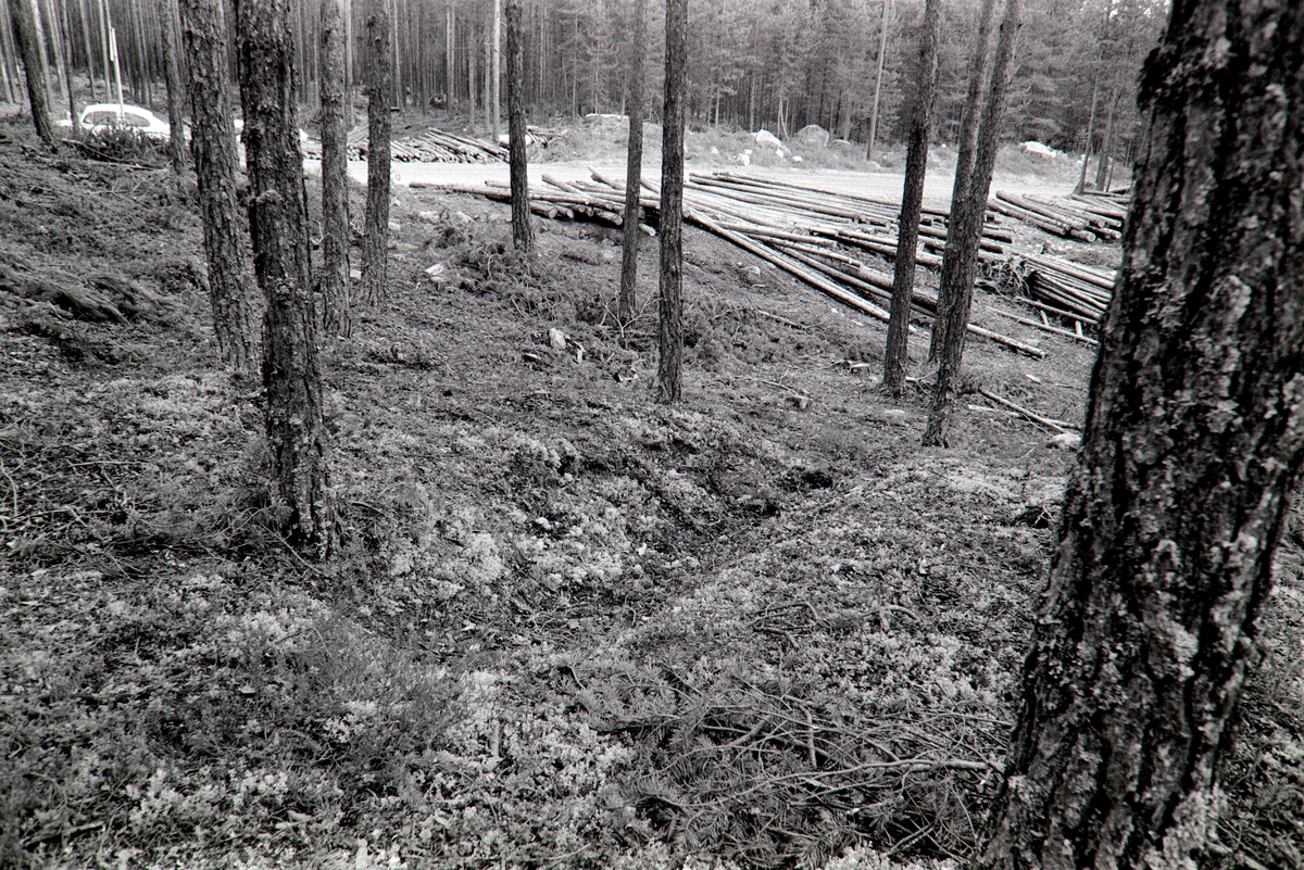 Tjæregraver, Frysjøsletta, Grue, Solør.