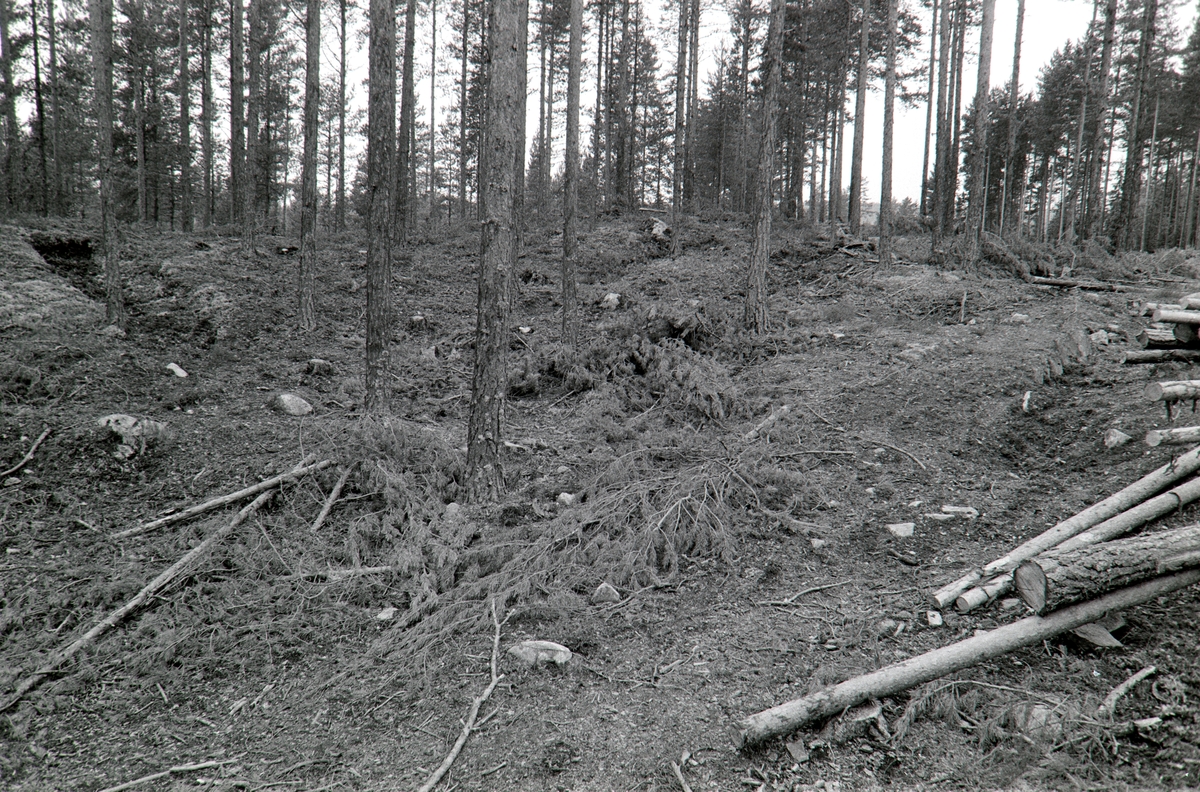 Tjæregraver, Frysjøsletta, Grue, Solør.