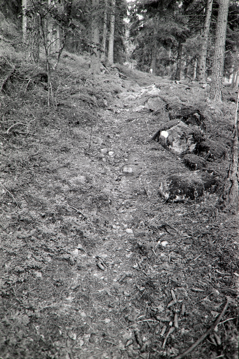 Finnvegen ved Brutjernet, Grue, Finnskog, Solør.