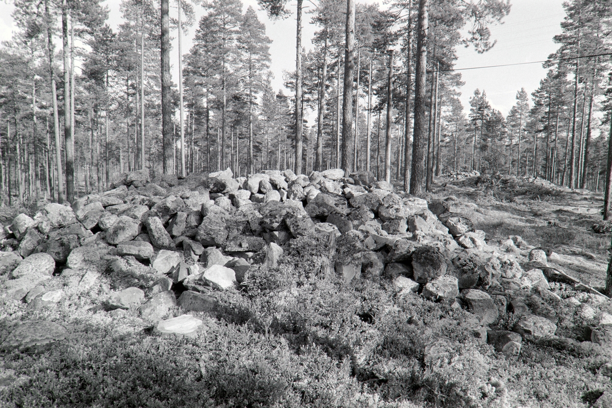 Røyser, nord for Skasenden, Grue, Finnskog.