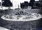 Park med kaktusplantering, Norrköping, före 1914