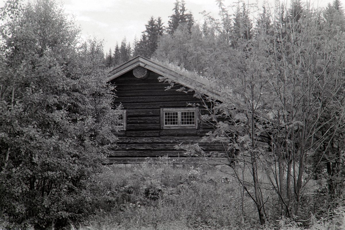 Trysil Bygdetun.