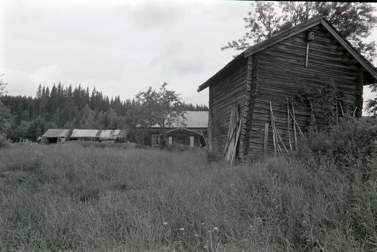 Anderstorpet, Grue Finnskog.
