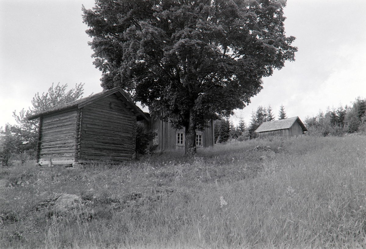 Løvberget søndre, Grue Finnskog, Solør.