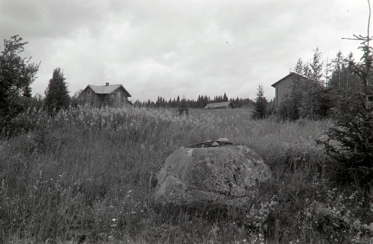 Løvberget nordre, Grue Finnskog, Solør.