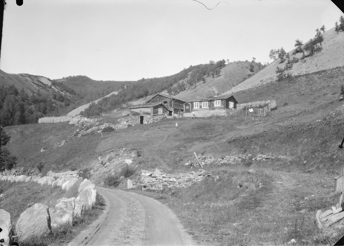 Vågå, Skogbygdi, plassen Skulemesterstugu
