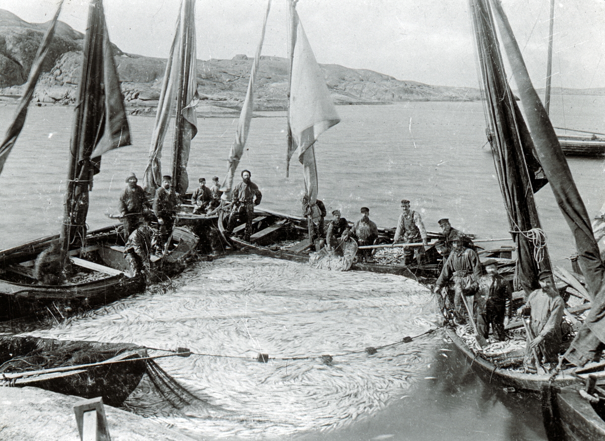 Sillstänget vid Porsholmen april 1894