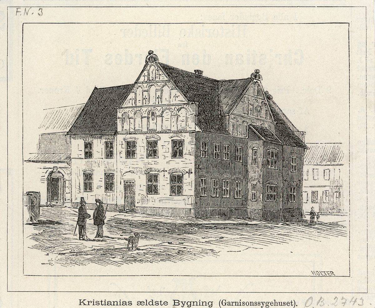 arkitektur, sykehus, torg, hund