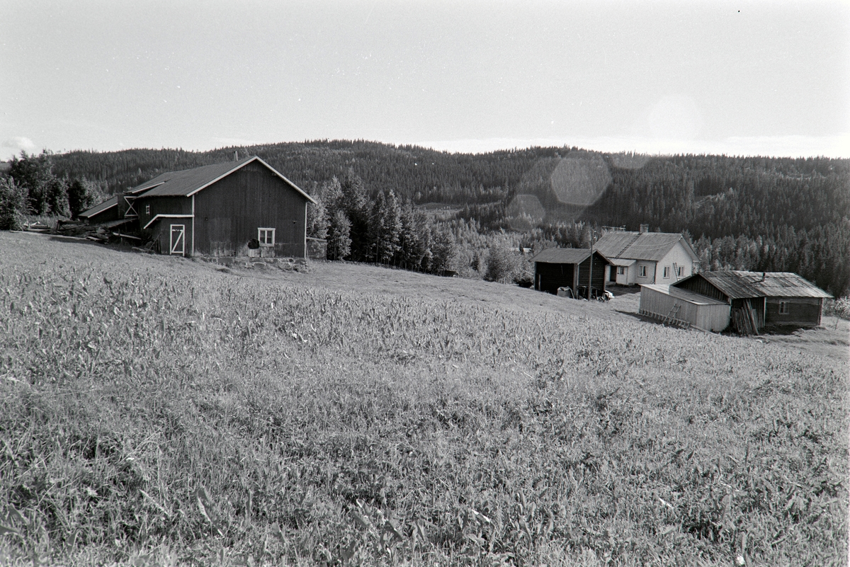 Lønnhaugen, Grue Finnskog, Solør.