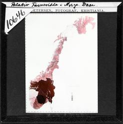 Hans Daae: Relativ Favnevidde i Norge. Daae