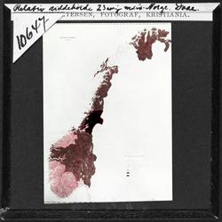 Hans Daae: Ralativ siddehøide 23 aarige Mænd, Norge. Daae