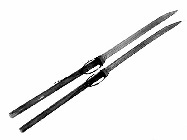 Skiene er laget av tennarfuru som er brunbeiset. De er 253,5 centimeter lange. Bredden er drøyt 7,7 centimeter i den fremre enden, der krumminga mot skituppene starter. Ved bindinga er bredden 7,4 centimeter, om lag samme breddemål som i de bakre endene. Tjukkelsen er 1,5 centimeter der krumminga mot skituppene starter. Ved bindingene er tjukkelsen 3,6 centimeter. Derfra tynnes skiene mot de bakre endene, hvor målet er 1,4 centimeter. Sentralt på sålen - skias underside - er det høvlet to 1,2 centimeter brede styrerender (hulkiler) på hver sin side av midtaksen. Oversidene på skiene er høvlet slik at de har fått et buet (konvekst) tverrsnitt. Unntaket er bindingsstedet («fotsteget») er overflata er plan og belagt med svart gummi, muligens såler fra slitte kalosjer. Ellers har oversidene stripedekor, sannsynligvis utført ved hjelp av et strekmålliknende redskap. Bindingene har tåjern som er lagd av vridde bandjernstrimler. Over disse, på tvers av skienes lengderetning, er det strukket forholdsvis brede tåband av lær, forankret i tverrgående slisser i skiene. I de bakre endene av tåjerna er det pånaglet lærforete bandjern som skulle festes på skiløperens skohæl. Bakerst på disse bøylene er det festet lærlisser, som antakelig skulle knyttes over vristpartiet. Dersom skiene legges på et plant golv, uten tyngdebelastning, har den ene et spenn på om lag 6,5 centimeter under bindingsstedet, mens den andre har et spenn på bare 5-6 millimeter.

Staven har øverst ei lærreim til å stikke handa i. Trinsa er laget av værhorn. Den er festet med lærreim. Spissen på skistaven er av jern. 

Skiene er laget og brukt av "Sølensjøkongen", Reodor Wardenær (f. 1862).