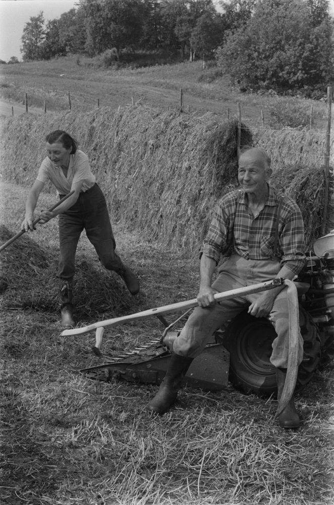 Leirfjord, Kjærstad. Ane Sjøberg og Olaf Kjærstad driver med slåttonn, hesjing.
Bildet fra Helgeland Arbeiderblad sin sommerpatrulje.
Finnes også som VBH.F.2011-010-0025