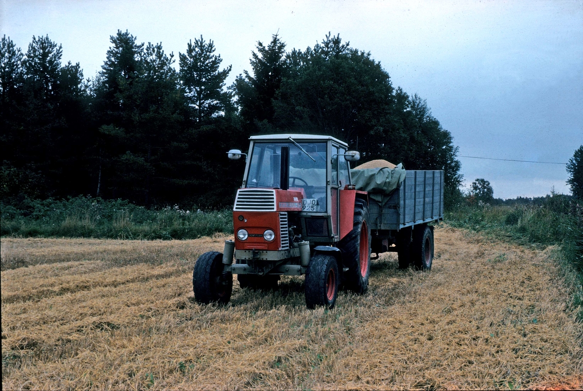 Traktor med kärra fylld med säd, Mossbo, Tierps socken, Uppland 1981 - 1982