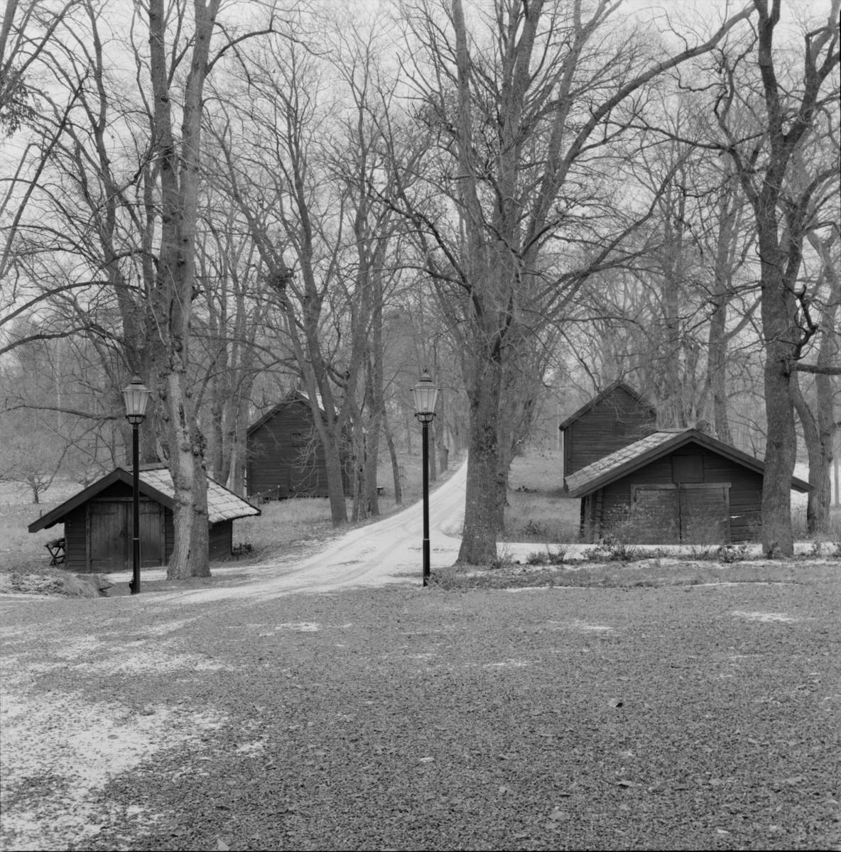 Allén från gårdsplanen, Hacksta gård, Enköpings-Näs socken, Uppland november 1981