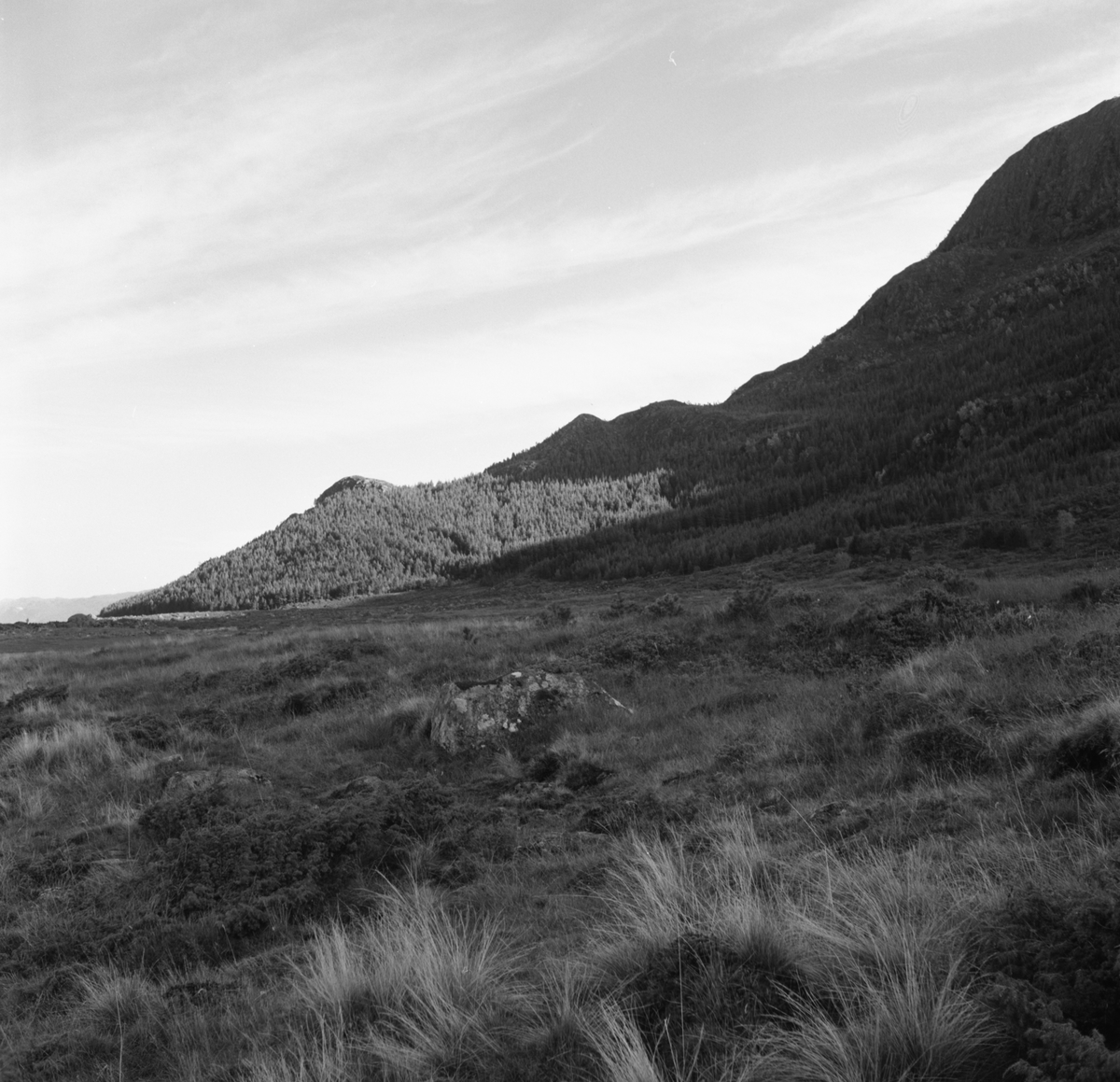 Prospektfotografi av et område på ytre Sula, Kalvestad.