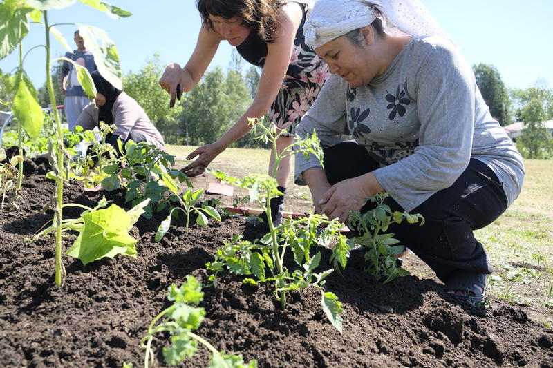 To kvinner jobber i en kjøkkenhage