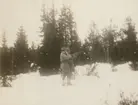 Officersövningar i Hålland 10-18.3.1931.