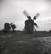 Väderkvarnar på Öland.