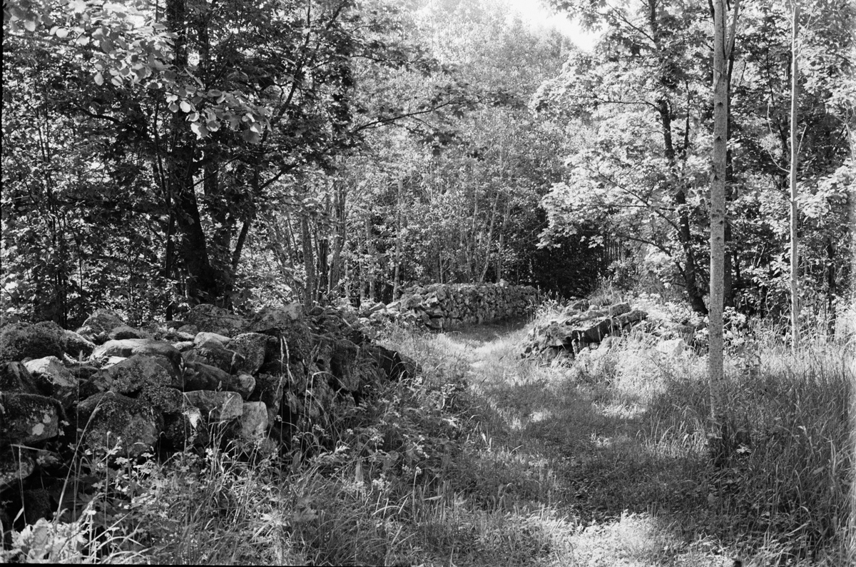 Stenmurar i Söderskogen, Film, Uppland juli 1991