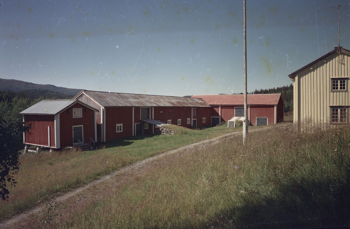 Storbuan i Meldal.